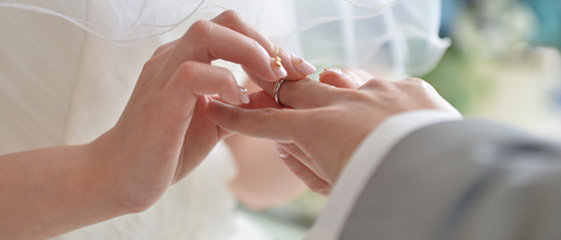 ニュースイメージ